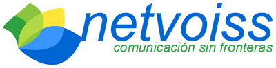 Netvoiss Chile Logo